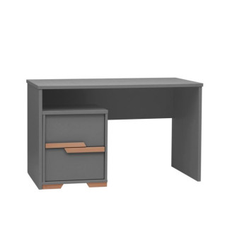 Kirjutuslaud (Woodsy kollektsioon) Kirjutuslaud (Woodsy kollektsioon)